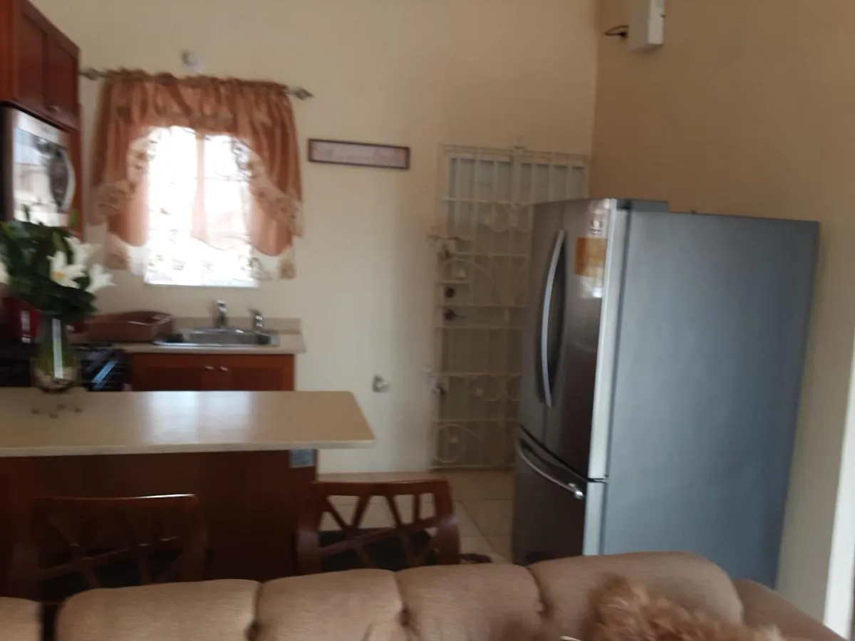 Sassy Diamond Crest Apartment Portmore